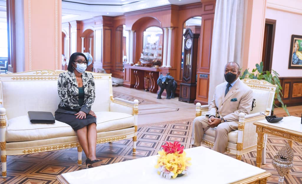 Conflit homme-faune. Ali Bongo veut mettre en place un Conseil stratégique pour freiner le&nbsp;phénomène